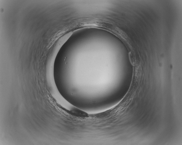 X0000054390385200508011259