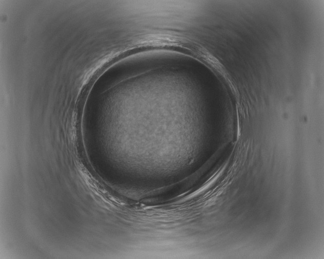 X0000054390387200508011258