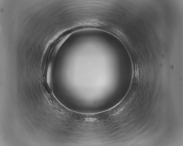 X0000054390388200508011258