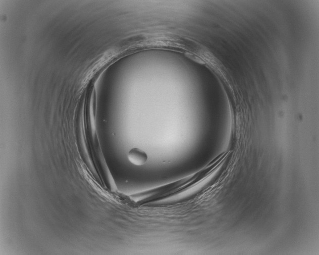 X0000054390389200508011258