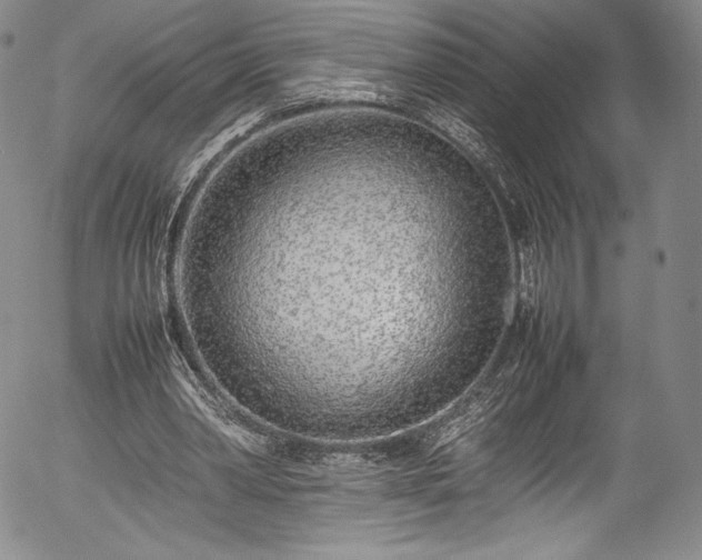 X0000054390390200508011258