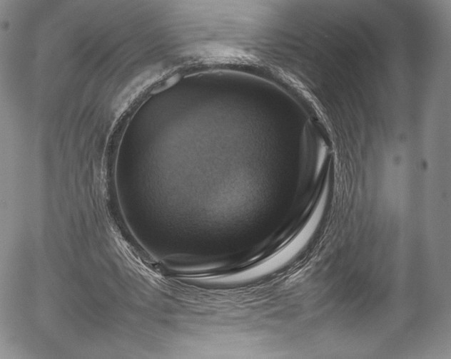 X0000054390391200508011258