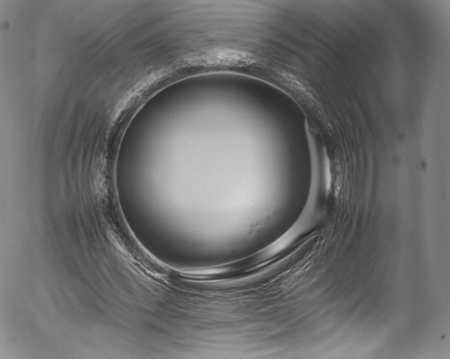 X0000054390392200508011258