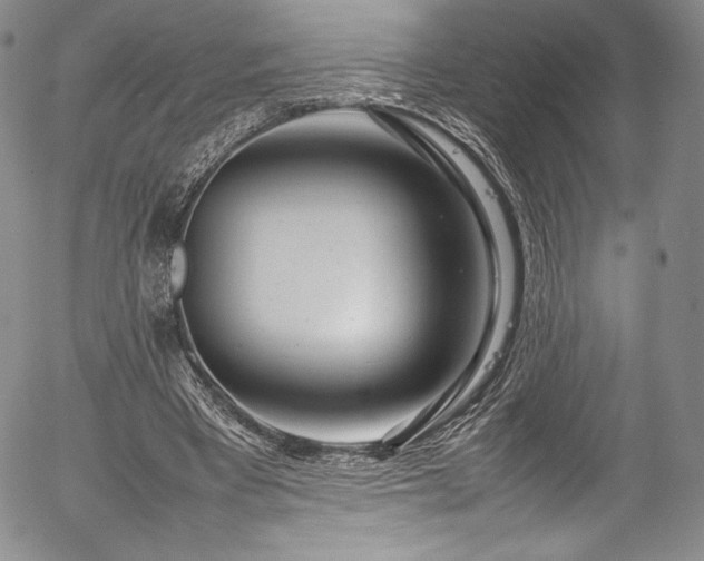 X0000054390393200508011258