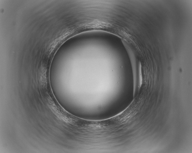 X0000054390394200508011258