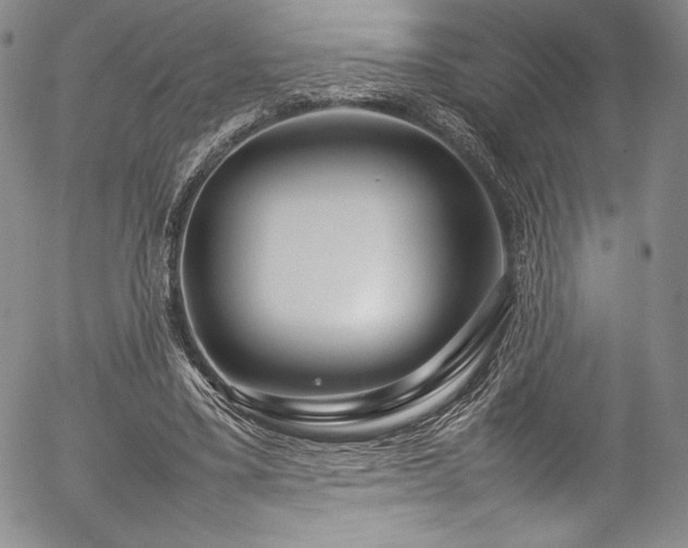 X0000054390395200508011258