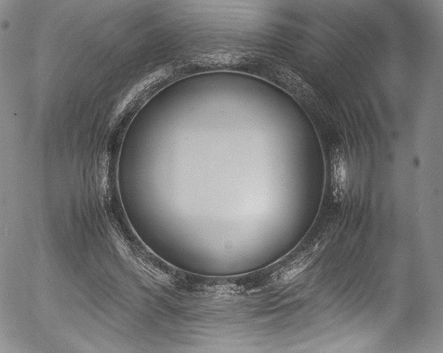 X0000054390396200508011258