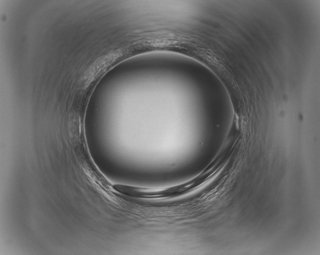 X0000054390397200508011258