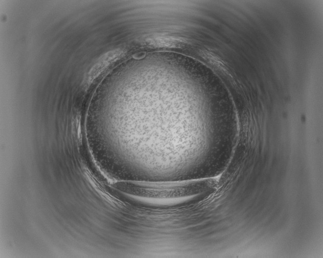 X0000054390398200508011258