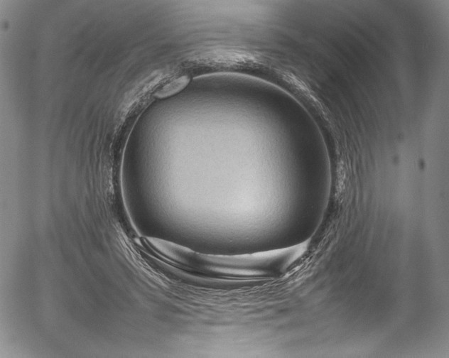 X0000054390399200508011258