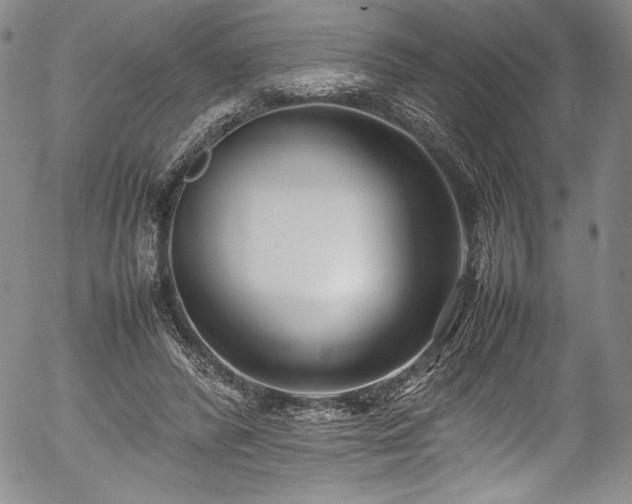 X0000054390400200508011258