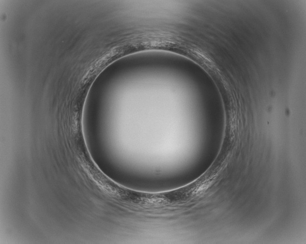 X0000054390401200508011258