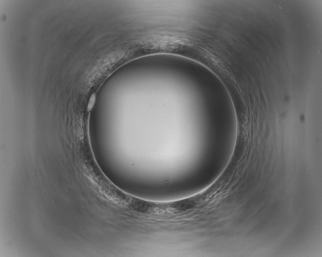 X0000054390403200508011258