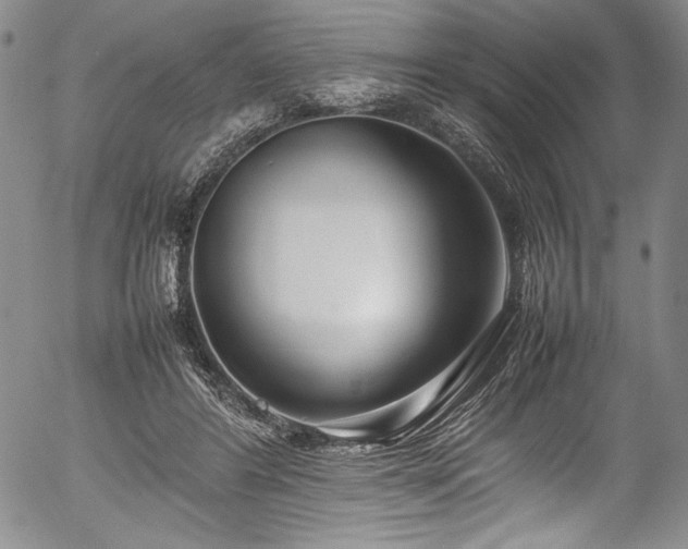 X0000054390404200508011258