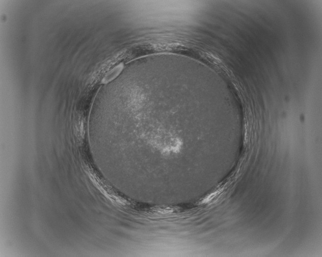 X0000054390405200508011258