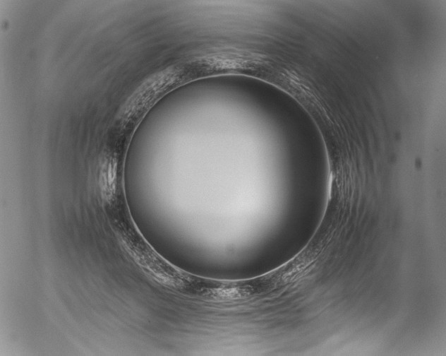 X0000054390406200508011258