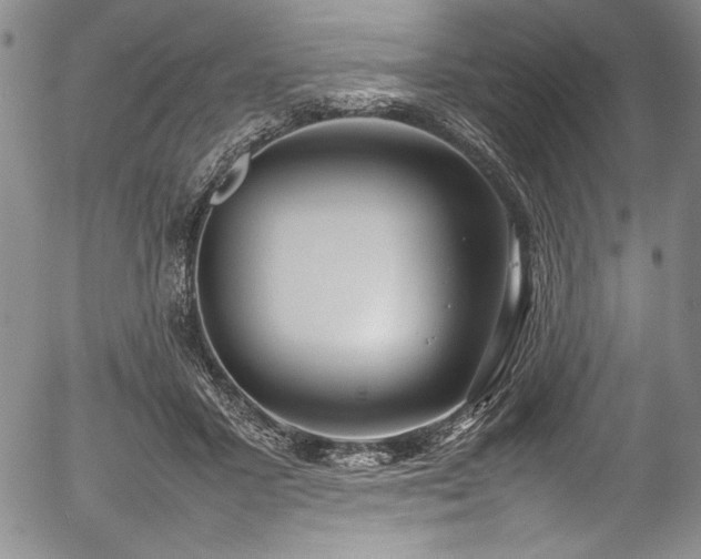 X0000054390407200508011258