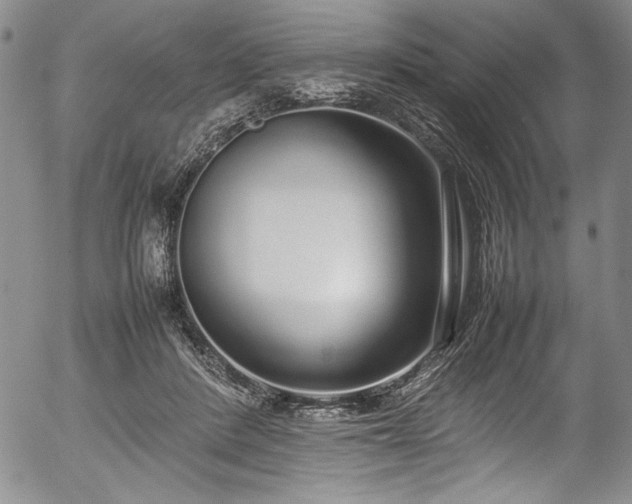 X0000054390408200508011258