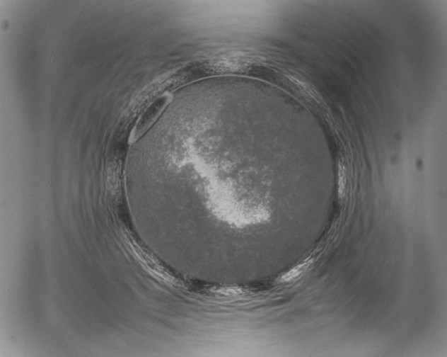 X0000054390409200508011258