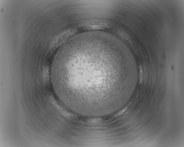 X0000054390410200508011258