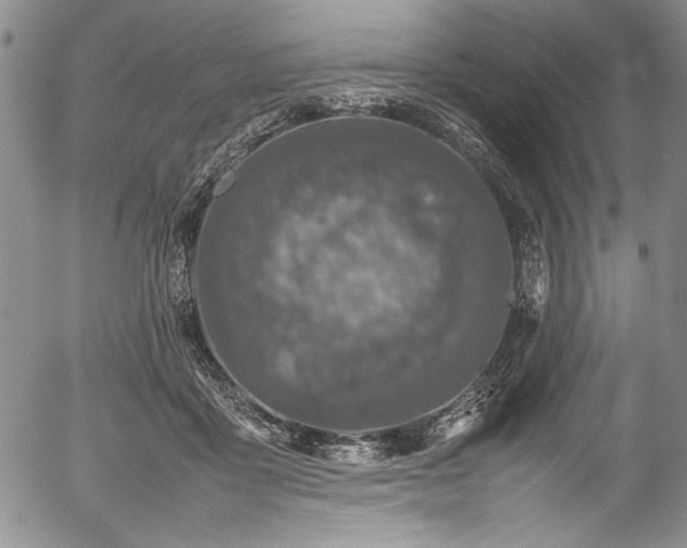 X0000054390411200508011258