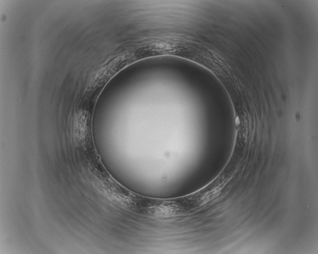 X0000054390412200508011258