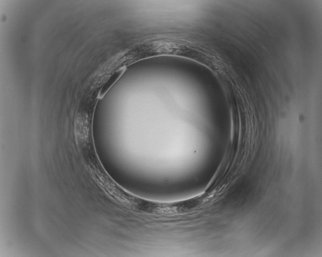 X0000054390413200508011258