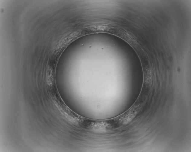 X0000054390414200508011258