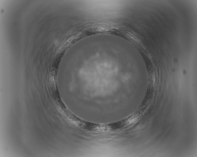 X0000054390415200508011258