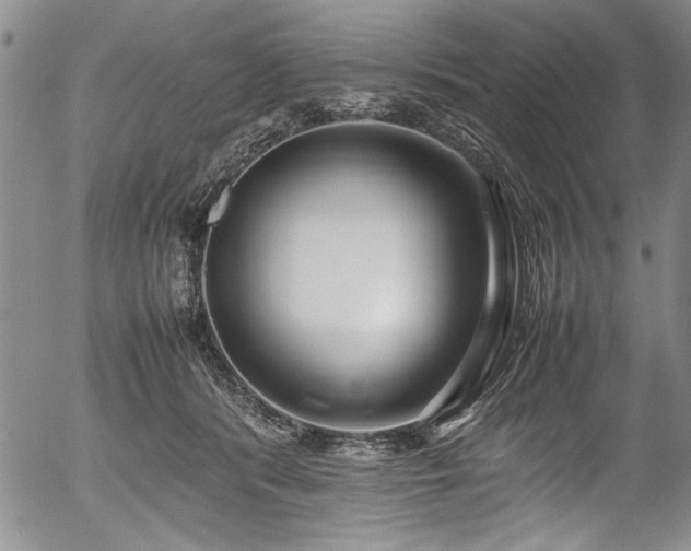 X0000054390416200508011258