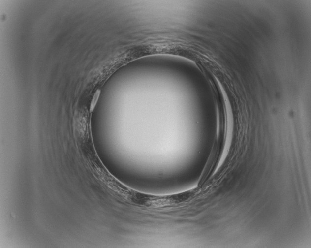 X0000054390417200508011258