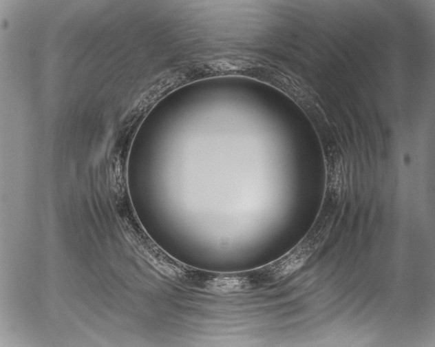 X0000054390418200508011258