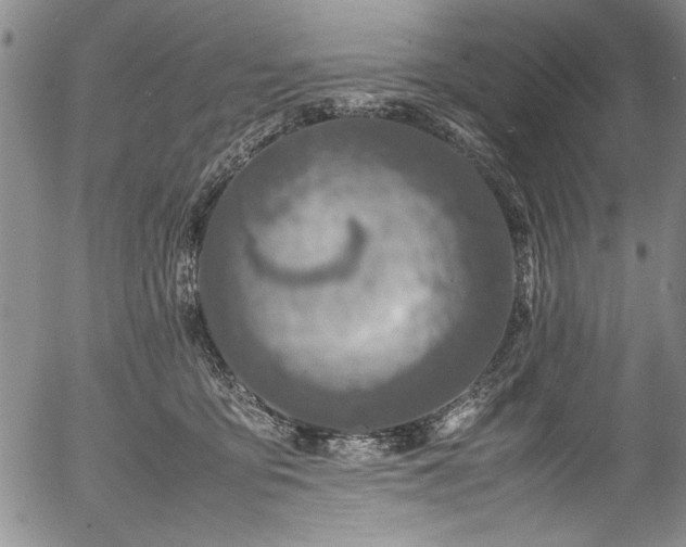 X0000054390419200508011258