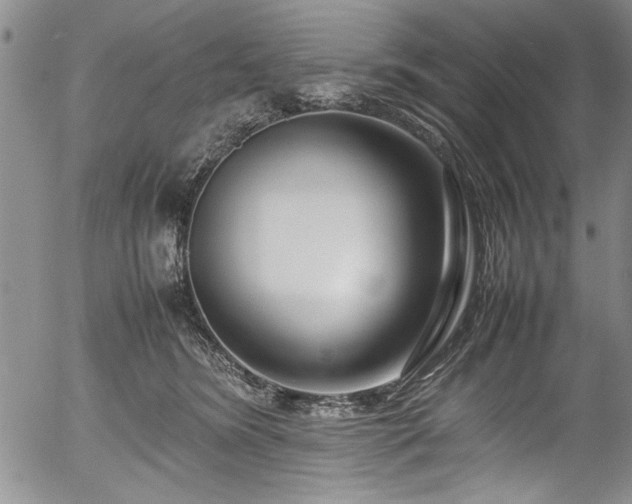 X0000054390420200508011258