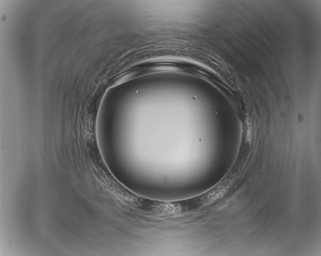 X0000054390421200508011258