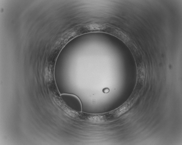 X0000054390422200508011258