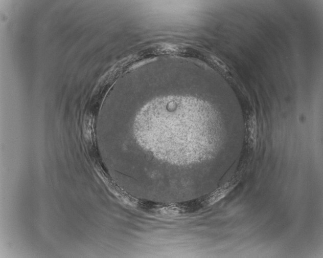 X0000054390423200508011258