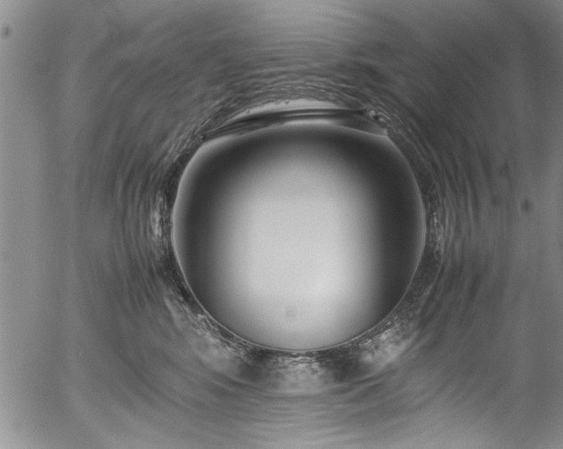 X0000054390424200508011258