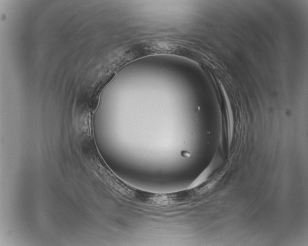 X0000054390425200508011258