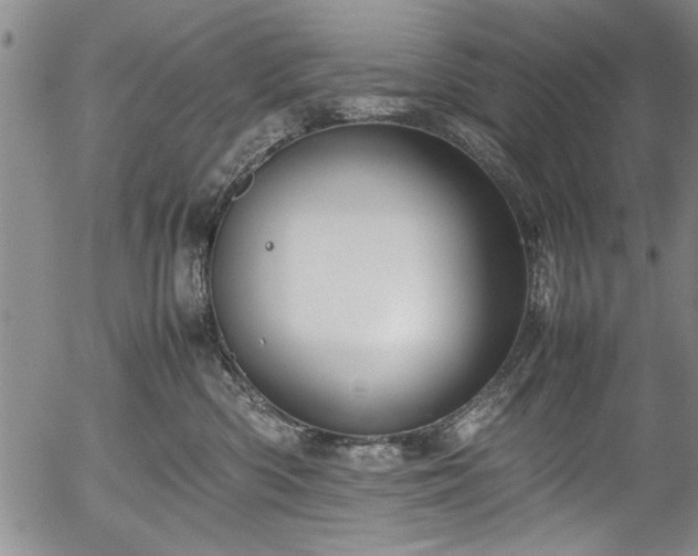 X0000054390426200508011258