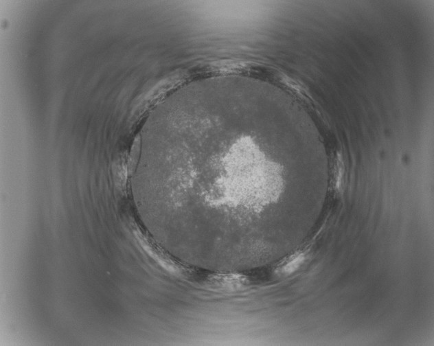 X0000054390427200508011258