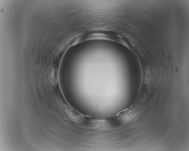 X0000054390428200508011258