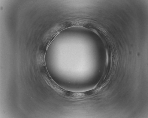 X0000054390429200508011258