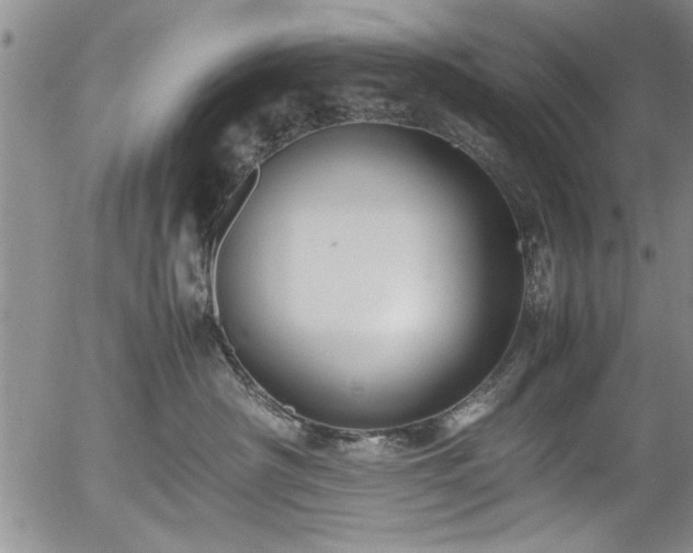 X0000054390430200508011258