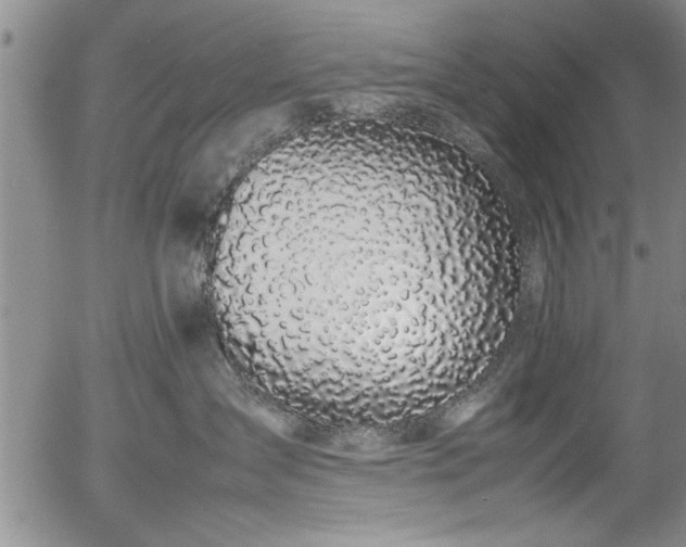 X0000054390431200508011258