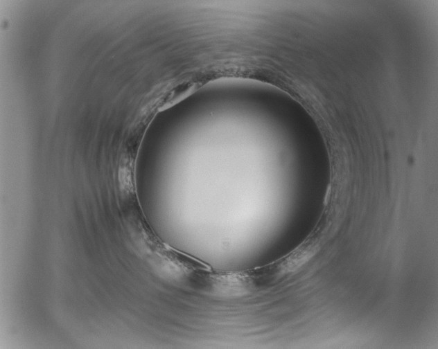 X0000054390432200508011258