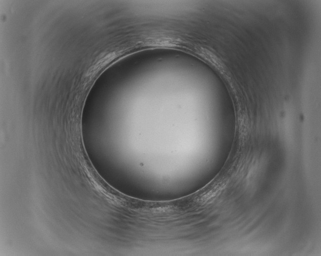 X0000054390433200508011257