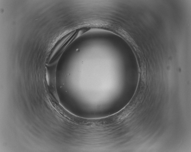 X0000054390434200508011257