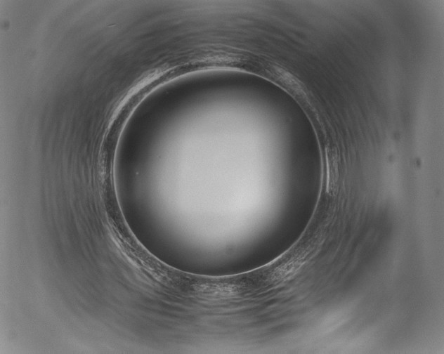 X0000054390435200508011257