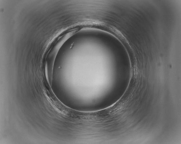 X0000054390436200508011257